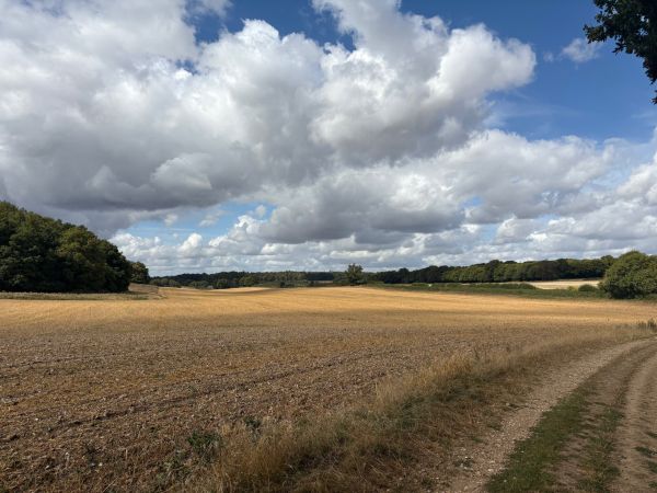 open fields view